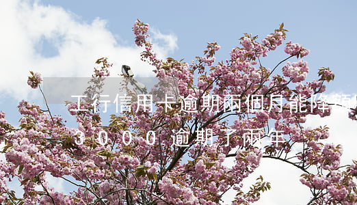 工行信用卡逾期兩個月能降額嗎 工行信用卡3000逾期了兩年