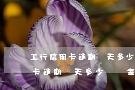 工行信用卡逾期兩天多少滯納金-工行信用卡逾期兩天多少滯納金啊