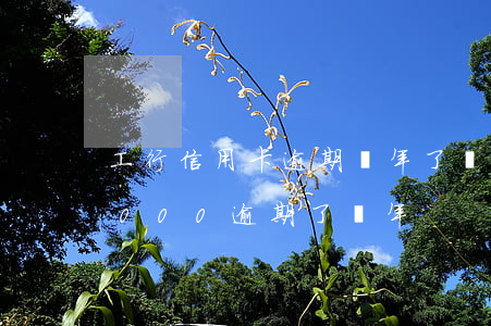 工行信用卡逾期兩年了會起訴 工行信用卡3000逾期了兩年
