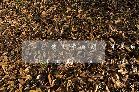 工行信用卡逾期八年目前被起訴了-工行信用卡逾期八年目前被起訴了怎么辦