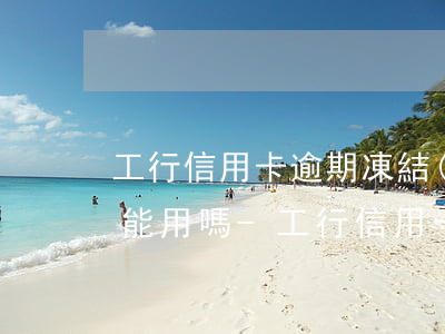 工行信用卡逾期凍結(jié)了還清了還能用嗎-工行信用卡逾期凍結(jié)了還清了還能用嗎