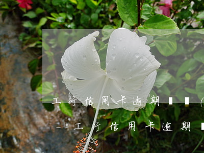 工行信用卡逾期凍結(jié)可以分期嗎-工行信用卡逾期凍結(jié)可以分期嗎