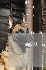 工行信用卡逾期凍結(jié)還最低(工行逾期后信用卡沒有額度)