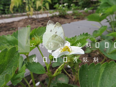 工行信用卡逾期凍結過有效期(工行信用卡逾期凍結過有效期)