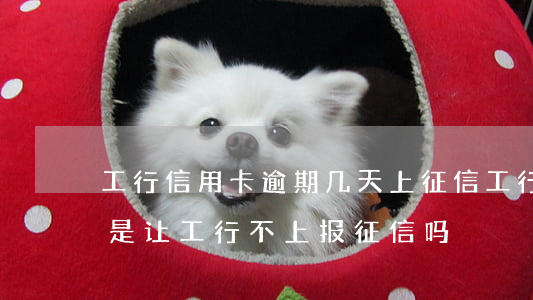 工行信用卡逾期几天上征信(工行逾期一天可是让工行不上报征信吗)