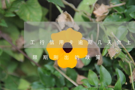 工行信用卡逾期几天会上个人征信-工行宽限期 刚出的政策
