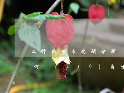 工行信用卡逾期分期還款(工行信用卡逾期如何協(xié)商分期)