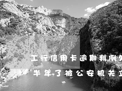工行信用卡逾期判例(欠工行信用卡2万逾期半年了被公安机关立案)
