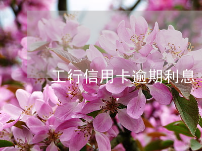 工行信用卡 逾期利息