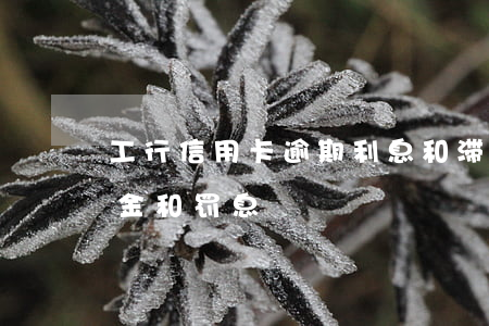 工行信用卡逾期利息和滞纳金(工行贷款滞纳金和罚息)
