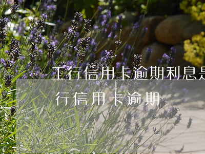 工行信用卡逾期利息是绝对不能减的吗-工行信用卡 逾期