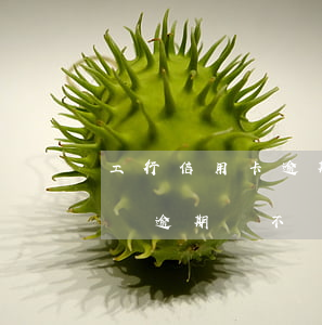 工行信用卡逾期利息核減(工商銀行信用卡年費逾期會不會影響貸款)