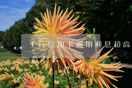 工行信用卡逾期利息超高(信用卡逾期利息很高怎么辦)