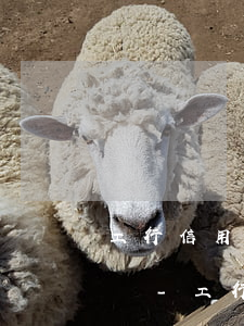 工行信用卡逾期半年協(xié)商能減免嗎-工行信用卡逾期半年協(xié)商能減免嗎多少錢