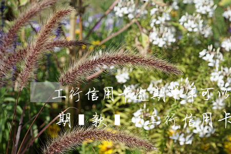 工行信用卡逾期半年可以協(xié)商分期還款嗎-工行信用卡逾期半年可以協(xié)商分期還款嗎