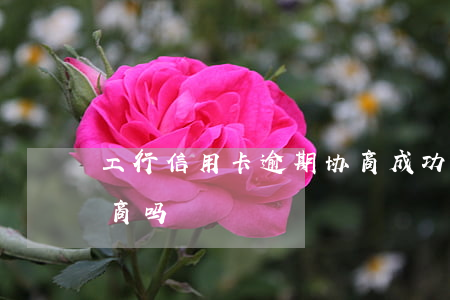 工行信用卡逾期协商成功(工行信用卡逾期协商吗)