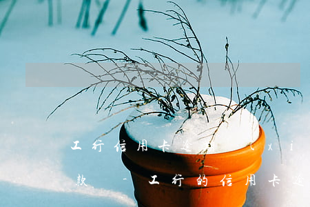 工行信用卡逾期協(xié)商可以停息還款嗎-工行的信用卡逾期怎么協(xié)商