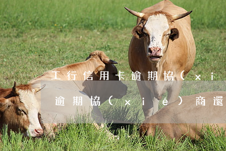 工行信用卡逾期 協(xié)商(工行信用卡逾期協(xié)商還款后又逾期怎么辦)