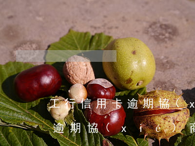 工行信用卡逾期協(xié)商資料-工商逾期協(xié)商還款