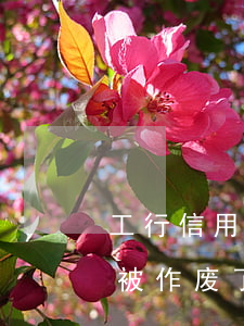 工行信用卡逾期卡被作废(工商信用卡逾期卡被作废了)