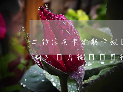 工行信用卡逾期卡被凍結(工商銀行信用卡逾期3個月被凍結會被起訴嗎)