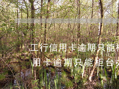 工行信用卡逾期只能柜台办理还款-工行信用卡逾期只能柜台办理还款吗