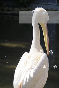 工行信用卡逾期可以免利息(向银行申请减免信用卡逾期利息怎么申请)