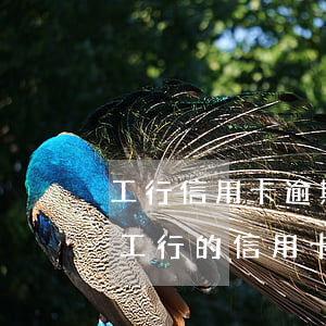 工行信用卡逾期可以協(xié)商延期嗎(工行的信用卡還款有緩期嗎)