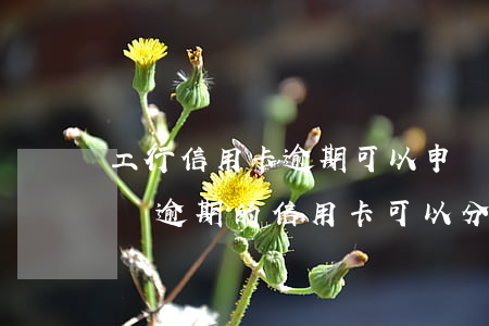 工行信用卡逾期可以申請(qǐng)分期嗎(逾期的信用卡可以分期還款嗎)