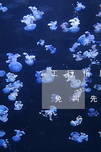 工行信用卡逾期可否減免 工行信用卡逾期減免叫先還本金
