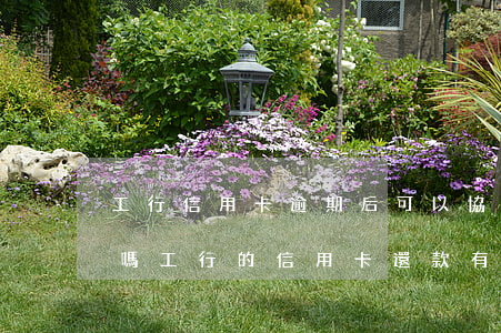 工行信用卡逾期后可以協(xié)商還款嗎(工行的信用卡還款有緩期嗎)