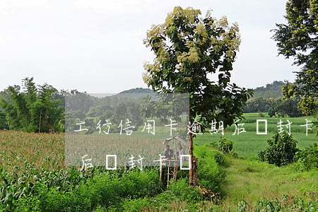 工行信用卡逾期后會封卡-工行信用卡逾期后會封卡嗎