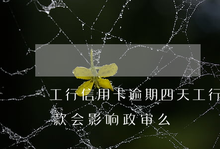 工行信用卡逾期四天(工行信用卡逾期四天还款会影响政审么)