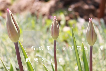 工行信用卡逾期四年沒還 工行卡逾期十來年但我不知道