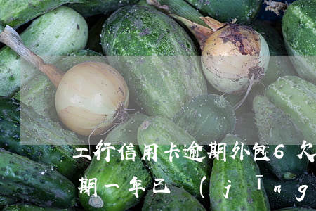 工行信用卡逾期外包6(欠工行信用卡2萬逾期一年已經(jīng)移交法務(wù)部)