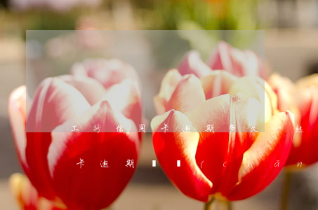 工行信用卡逾期多久一起訴(工商銀行的信用卡逾期會產(chǎn)生什么后果)