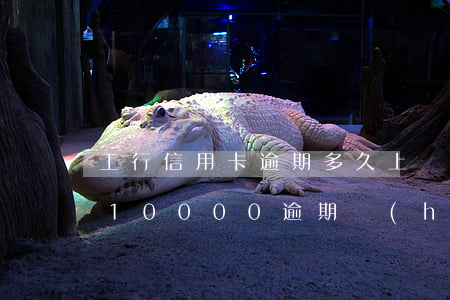 工行信用卡逾期多久上門(mén)(信用卡10000逾期會(huì)上門(mén)嗎)