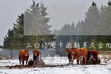工行信用卡逾期多久会向法院起诉 我工行信用卡逾期120天他们说要起诉我