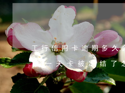 工行信用卡逾期多久会被冻结资金(工行卡逾期一天卡被冻结了怎样能解冻)