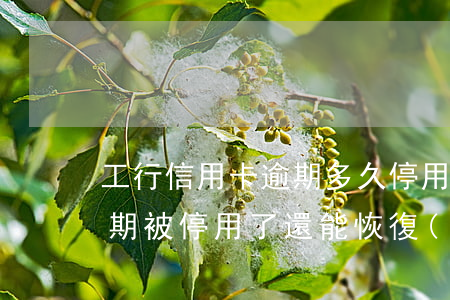 工行信用卡逾期多久停用(工商銀行信用卡逾期被停用了還能恢復(fù)嗎)