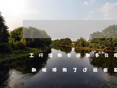工行信用卡逾期多久停用(工商银行信用卡逾期被停用了还能恢复吗)