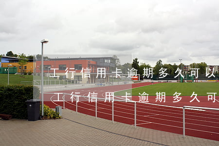 工行信用卡逾期多久可以申請(qǐng)(工行信用卡逾期多久可以申請(qǐng)分期還款)