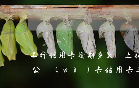 工行信用卡逾期多久會上征信嗎-工商銀行公務(wù)卡信用卡逾期幾天上征信