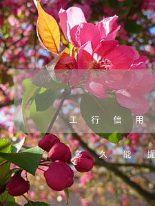 工行信用卡逾期多久能提醒(工行信用卡逾期多久能提醒還款)