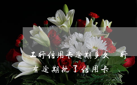 工行信用卡逾期多久銀行會(huì)(工行有逾期批了信用卡)