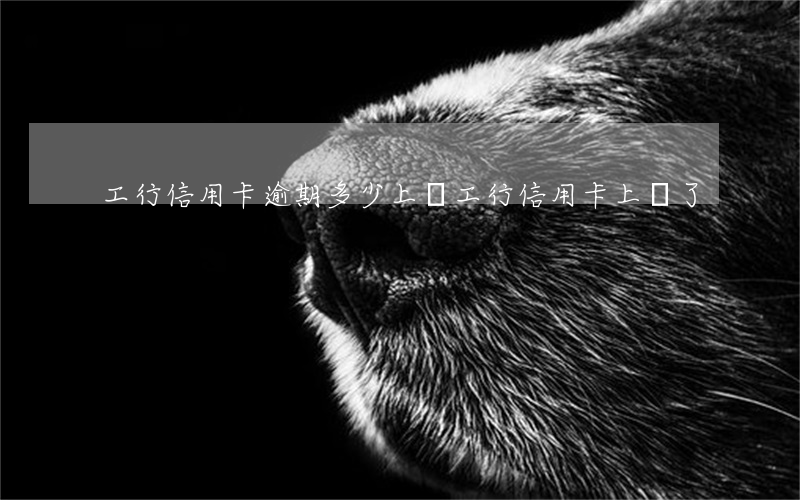 工行信用卡逾期多少上門(工行信用卡上門了)
