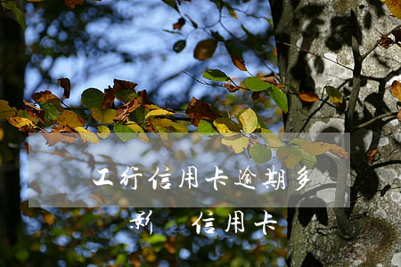 工行信用卡逾期多長時間封卡(工行封卡會不會影響信用卡)