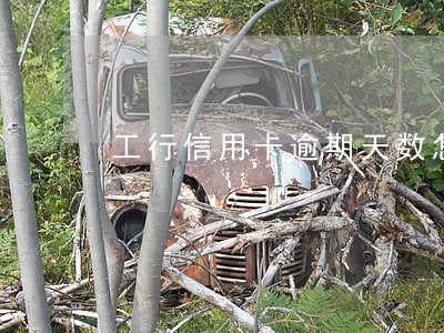 工行信用卡逾期天数怎么计算器