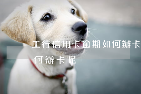 工行信用卡逾期如何辦卡(工行信用卡逾期如何辦卡呢)
