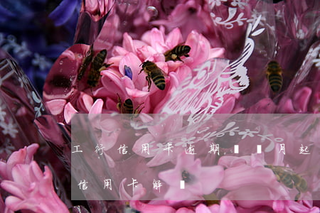 工行信用卡逾期幾個月起訴(工行逾期90天信用卡解凍)